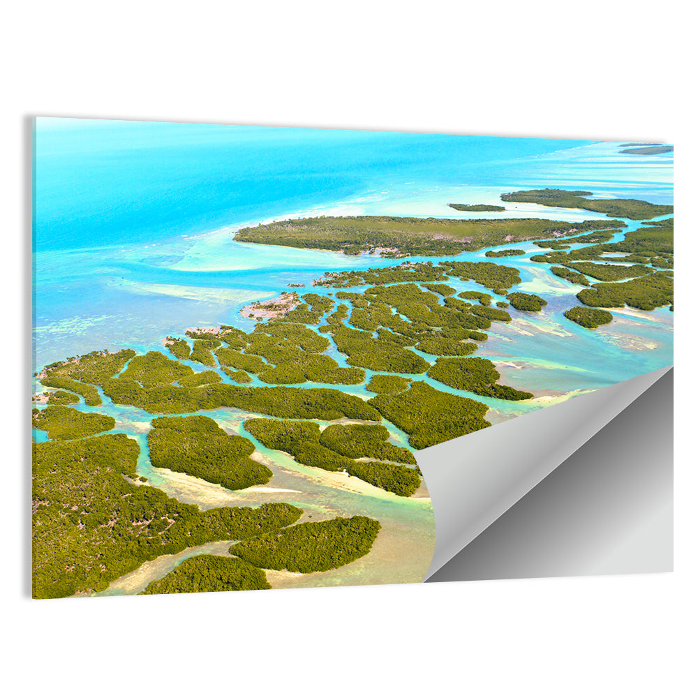 Florida Keys Mangrove Islands Wall Art