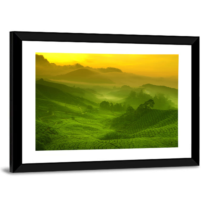 Sunlit Tea Plantation Hills Wall Art as a framed print