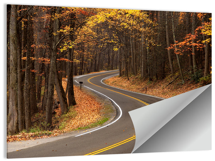 S-curve Road Through Autumn Forest Wall Art as a poster print