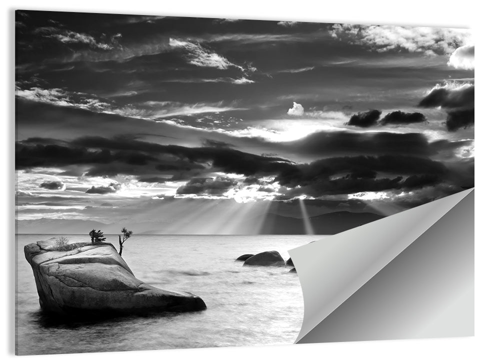 Bonsai Rock with Sunbeams Wall Art