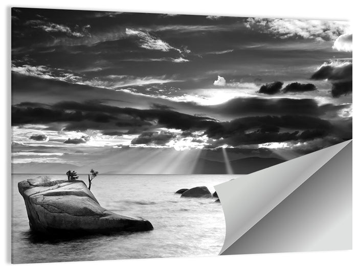 Bonsai Rock with Sunbeams Wall Art as a poster print