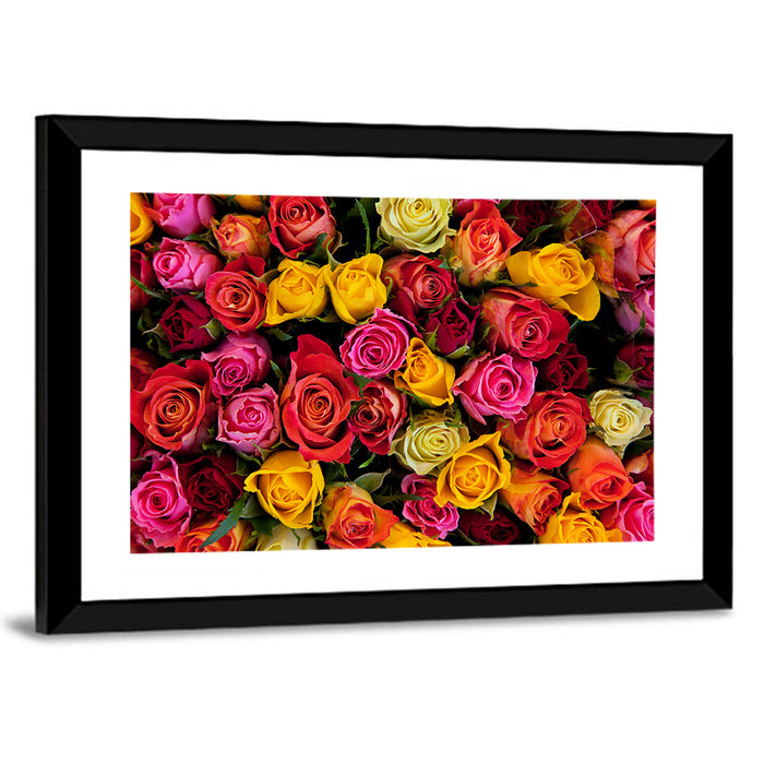 Multicolored Roses Close-up Wall Art as a framed print