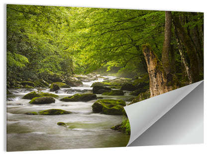 Tremont River Wall Art
