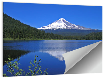 Mount Hood at Trillium Lake Wall Art