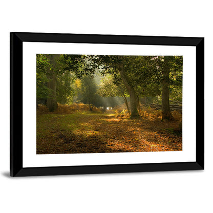Autumn Forest Path, Hampshire Wall Art