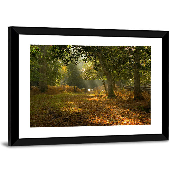 Autumn Forest Path, Hampshire Wall Art as a framed print