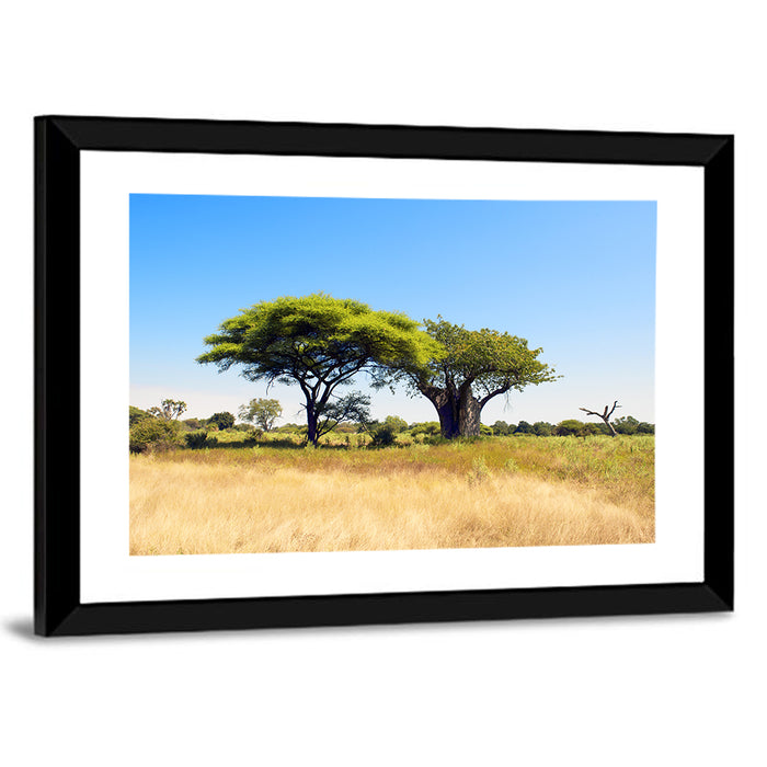 Acacia and Baobab Trees Wall Art as a framed print
