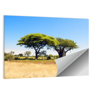 Acacia And Baobab Tree Wall Art