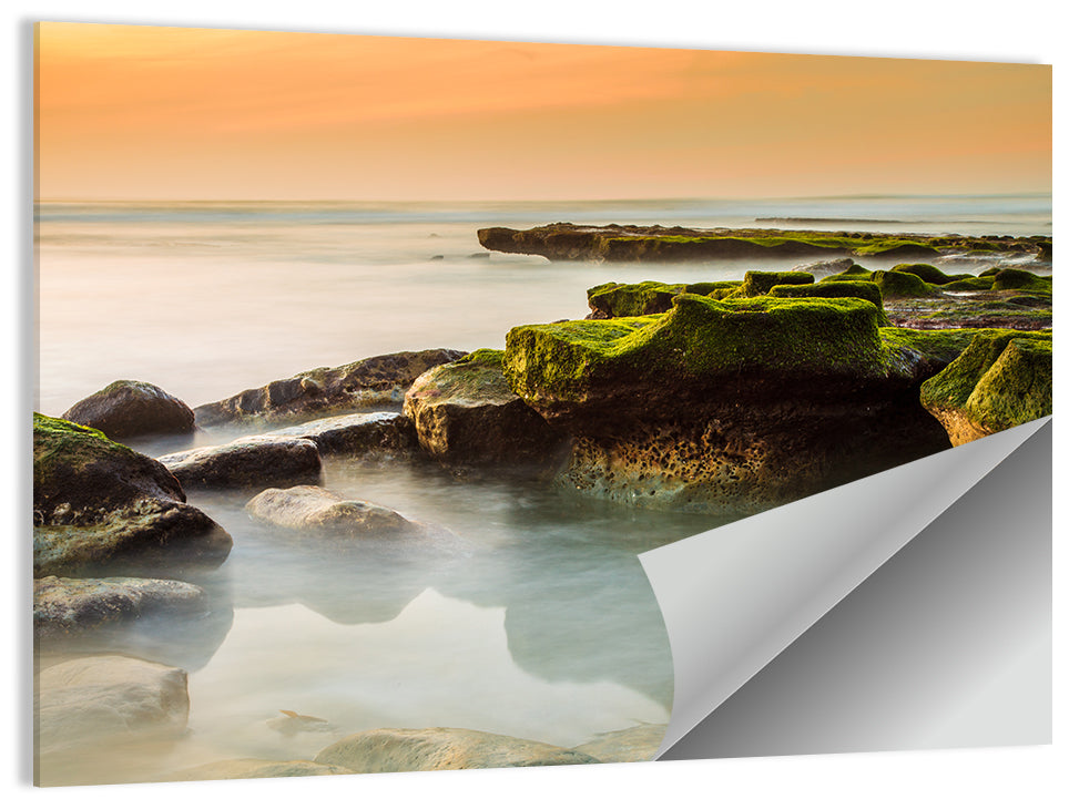 Mossy Rocky Coastline at Golden Hour Wall Art