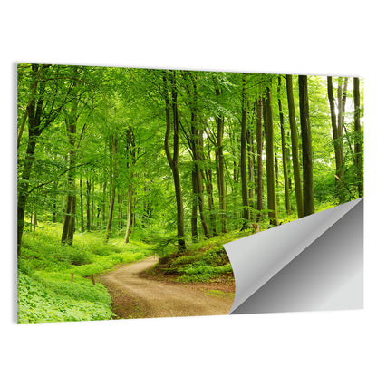 Sunlit Forest Path Wall Art