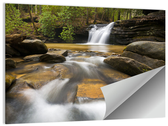 South Carolina Forest Waterfall Wall Art as a poster print