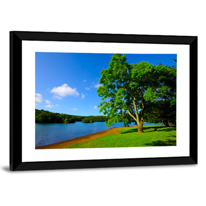 Lake Ippeki Solitary Tree Wall Art