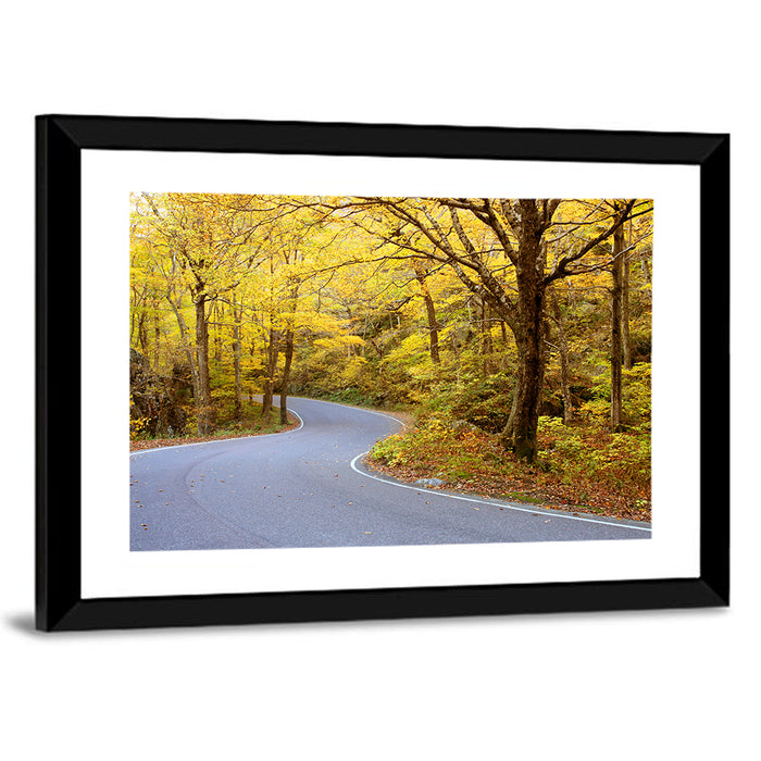 Winding Road Through Autumn Foliage Wall Art as a framed print