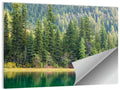Tranquil Forest Lake Wall Art