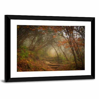 Craggy Garden Path Wall Art