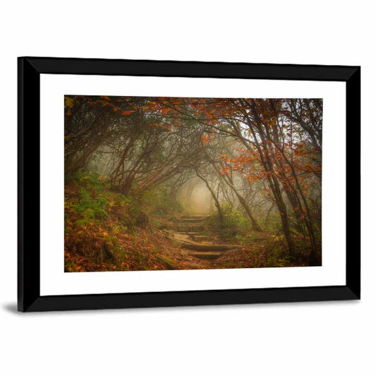Craggy Garden Path Wall Art