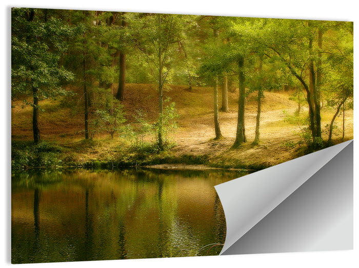 Forest Pond at Golden Hour Wall Art as a poster print