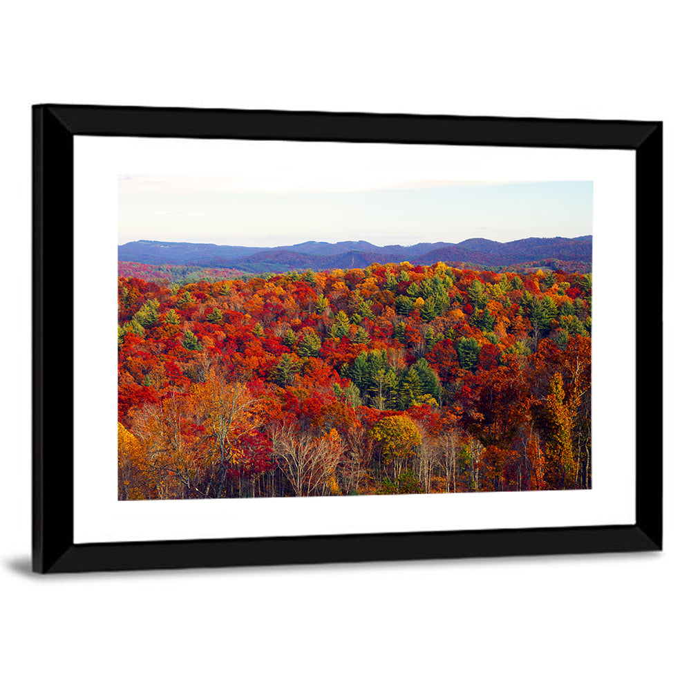 Autumn in the Appalachian Forest Wall Art