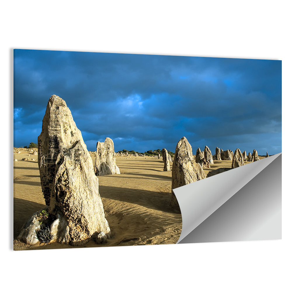 Pinnacles Desert at Golden Hour Wall Art