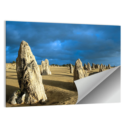 Pinnacles Desert at Golden Hour Wall Art