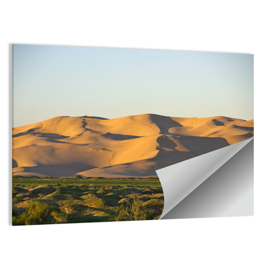 Goby Desert Dunes Wall Art