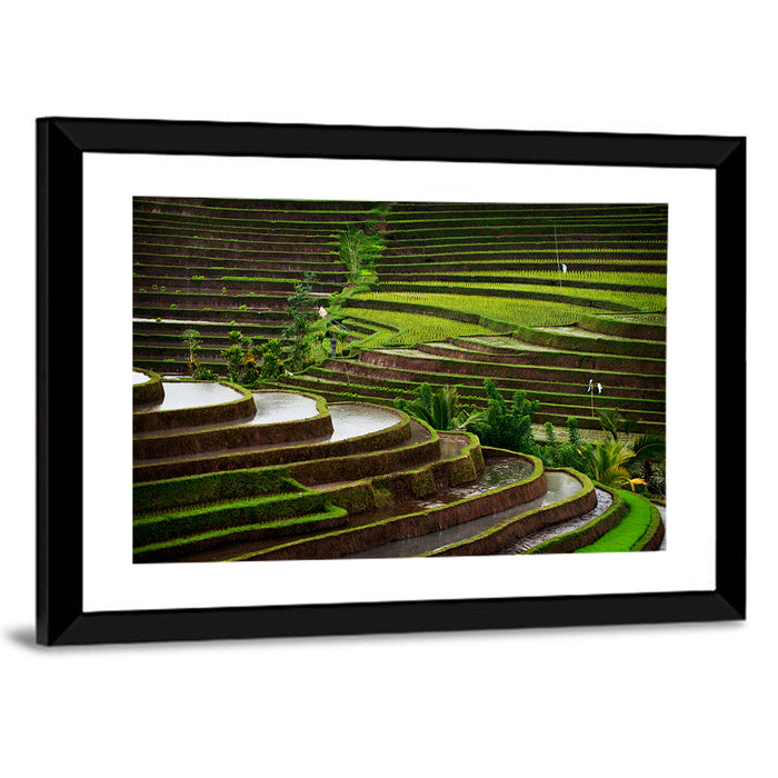 Lush Rice Terraces Wall Art as a framed print