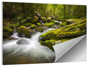 Gatlinburg Park Stream Wall Art