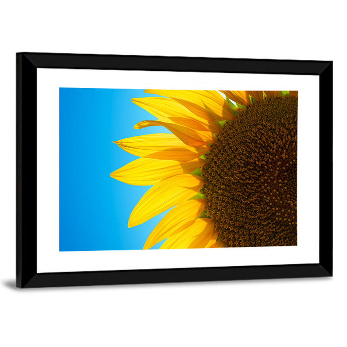 Sunflower Close-up Wall Art as a framed print