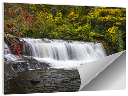Dupont State Forest Autumn Waterfall Stream Wall Art