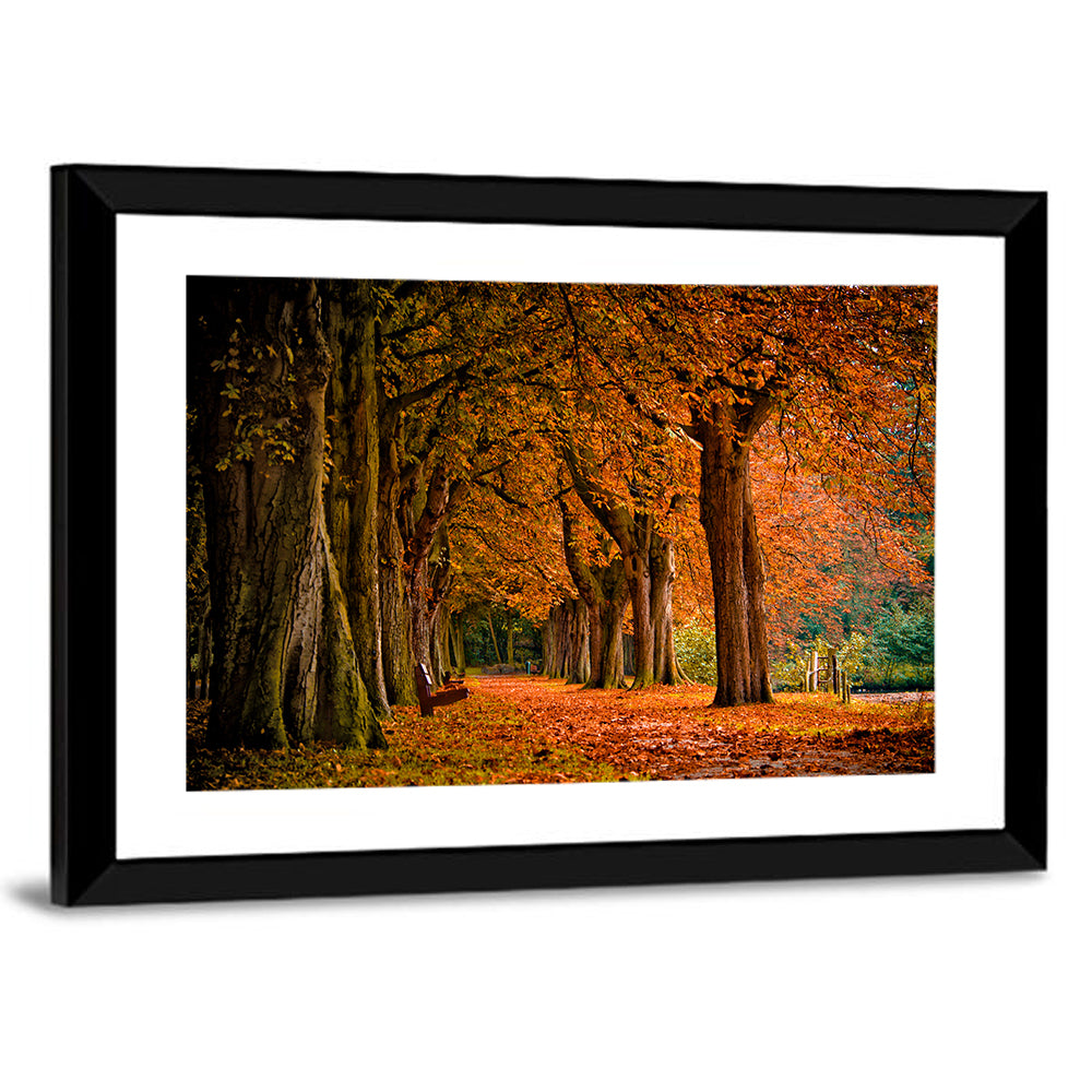 Autumn Forest Pathway Wall Art