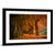 Forest Autumn Pathway Wall Art