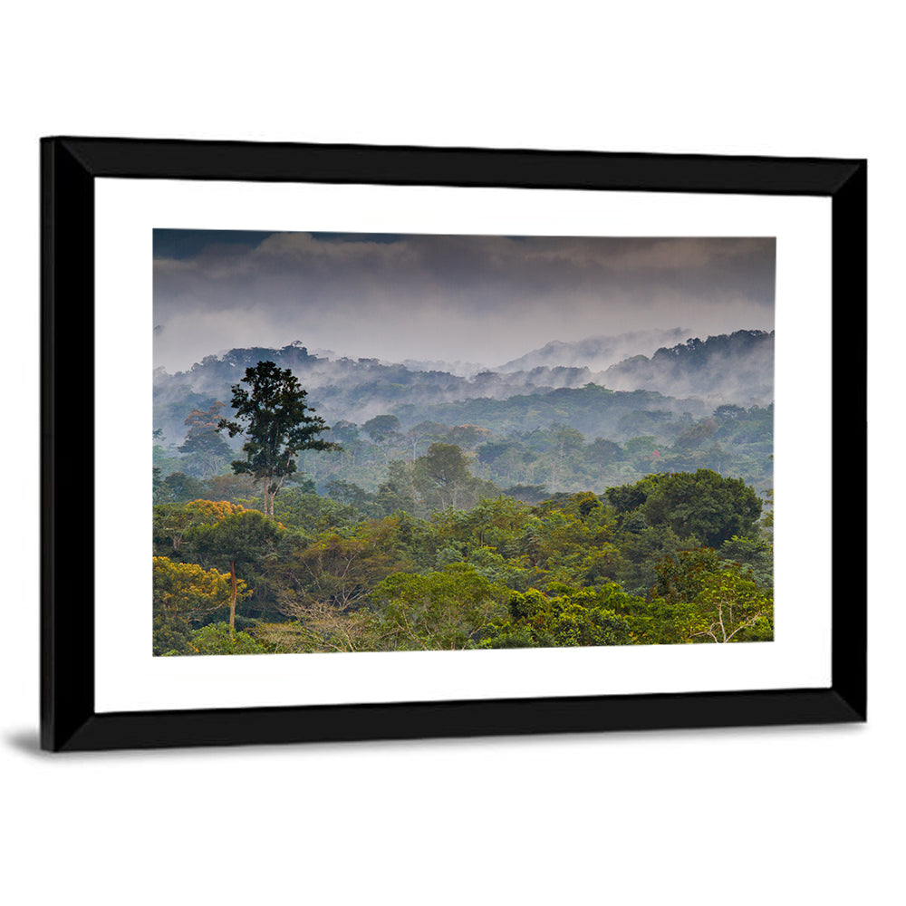 Guinea Rainforest Landscape Wall Art