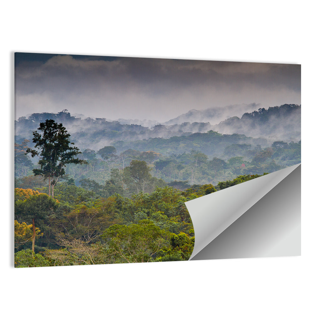 Guinea Rainforest Landscape Wall Art