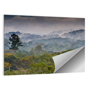 Rain Forest Guinea Wall Art