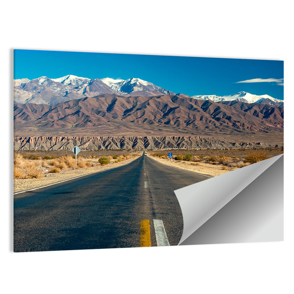 Northern Argentina Desert Road Wall Art