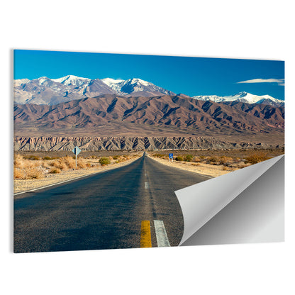 Northern Argentina Desert Road Wall Art