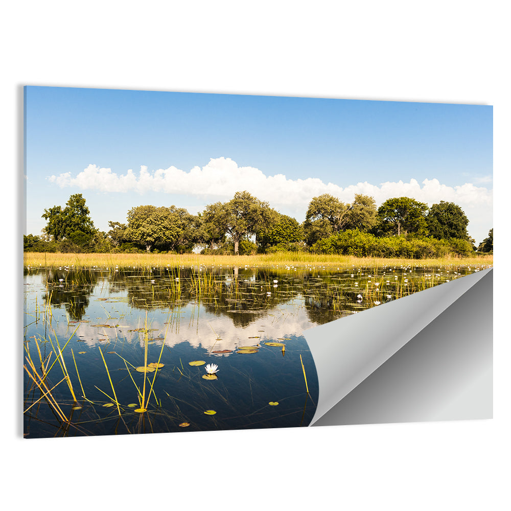 Okavango Delta Waterlilies Wall Art