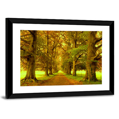 Beech Tree Lane at Golden Hour Wall Art