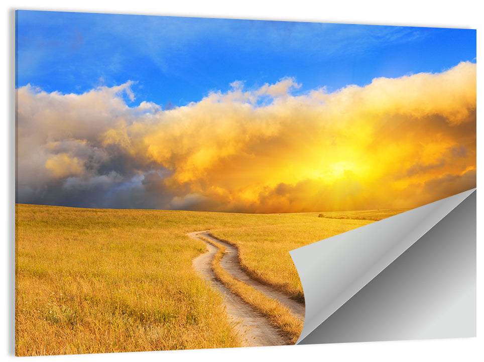Sunlit Meadow Path with Dramatic Clouds Wall Art
