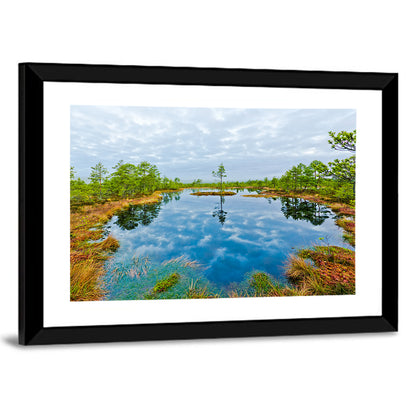 Viru Bog Reflections Wall Art