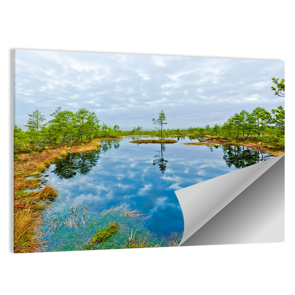 Viru Bog Reflections Wall Art