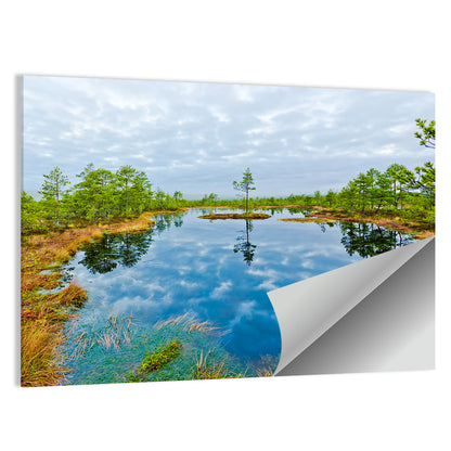 Viru Bog Reflections Wall Art