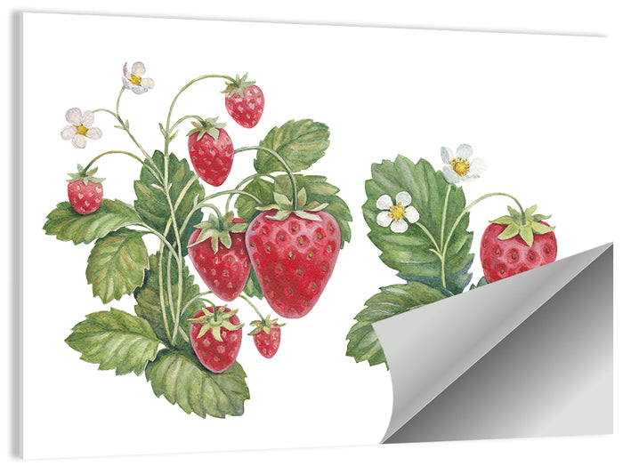 Fresh Strawberry Botanical Illustration Wall Art as a poster print