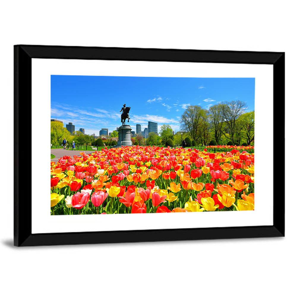 Boston Public Garden Tulips Wall Art