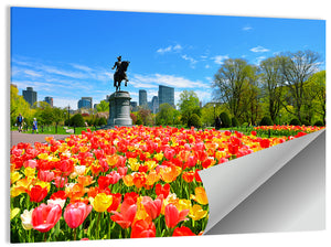 Boston Public Garden Wall Art