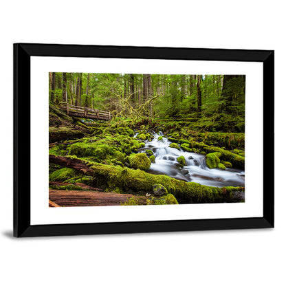 Mossy Cascade Forest Stream Wall Art