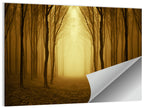 Lonely Forest Path Wall Art
