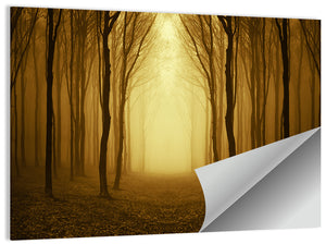 Lonely Forest Path Wall Art