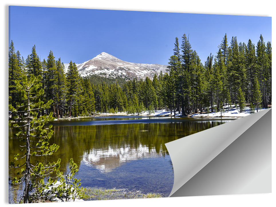 Yosemite Mountain Reflection Wall Art