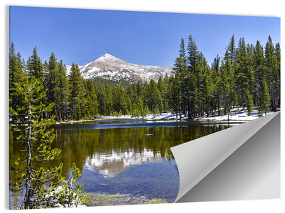 Yosemite Mountain Reflection Wall Art